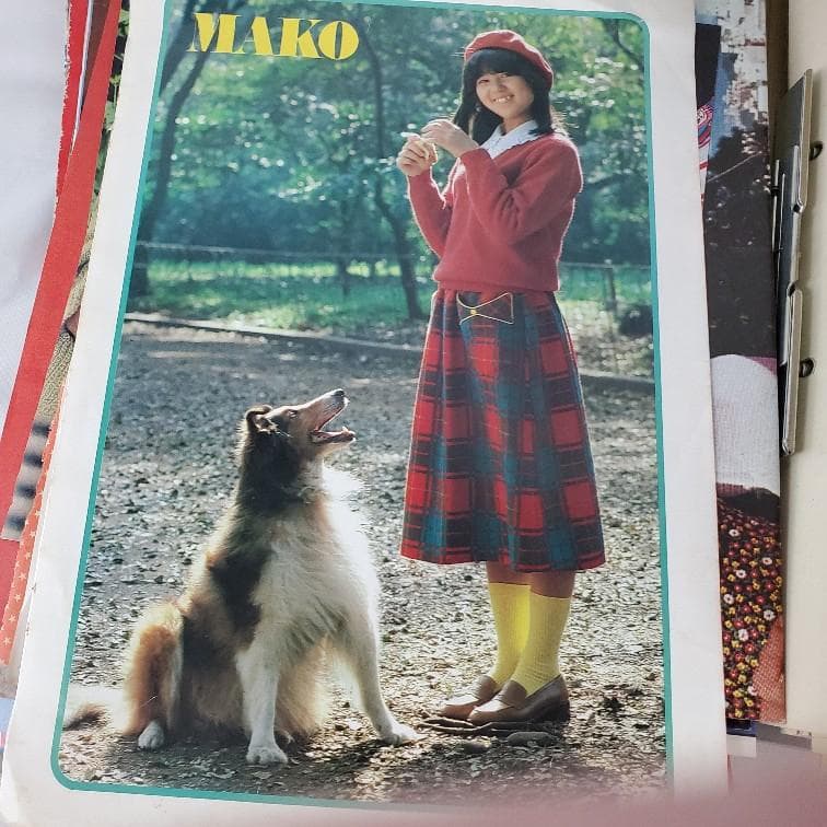 石野真子さん切り抜き・ミニポスター・会報など全450点（枚）以上（ファイルごと）