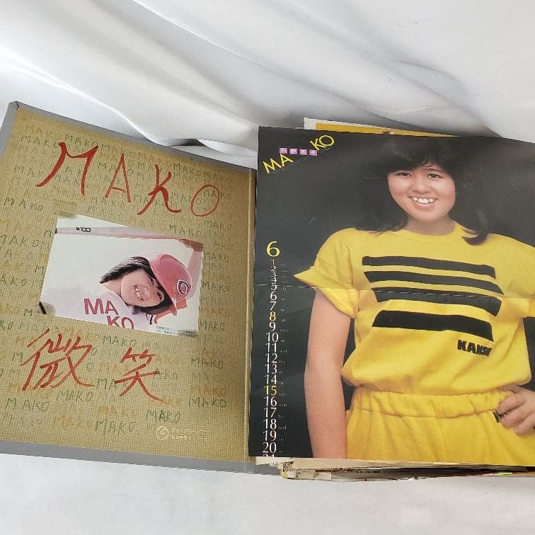 石野真子さん切り抜き・ミニポスター・会報など全450点（枚）以上（ファイルごと）