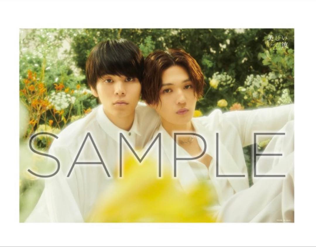 新品】美しい彼 A2ポスター - メルカリ