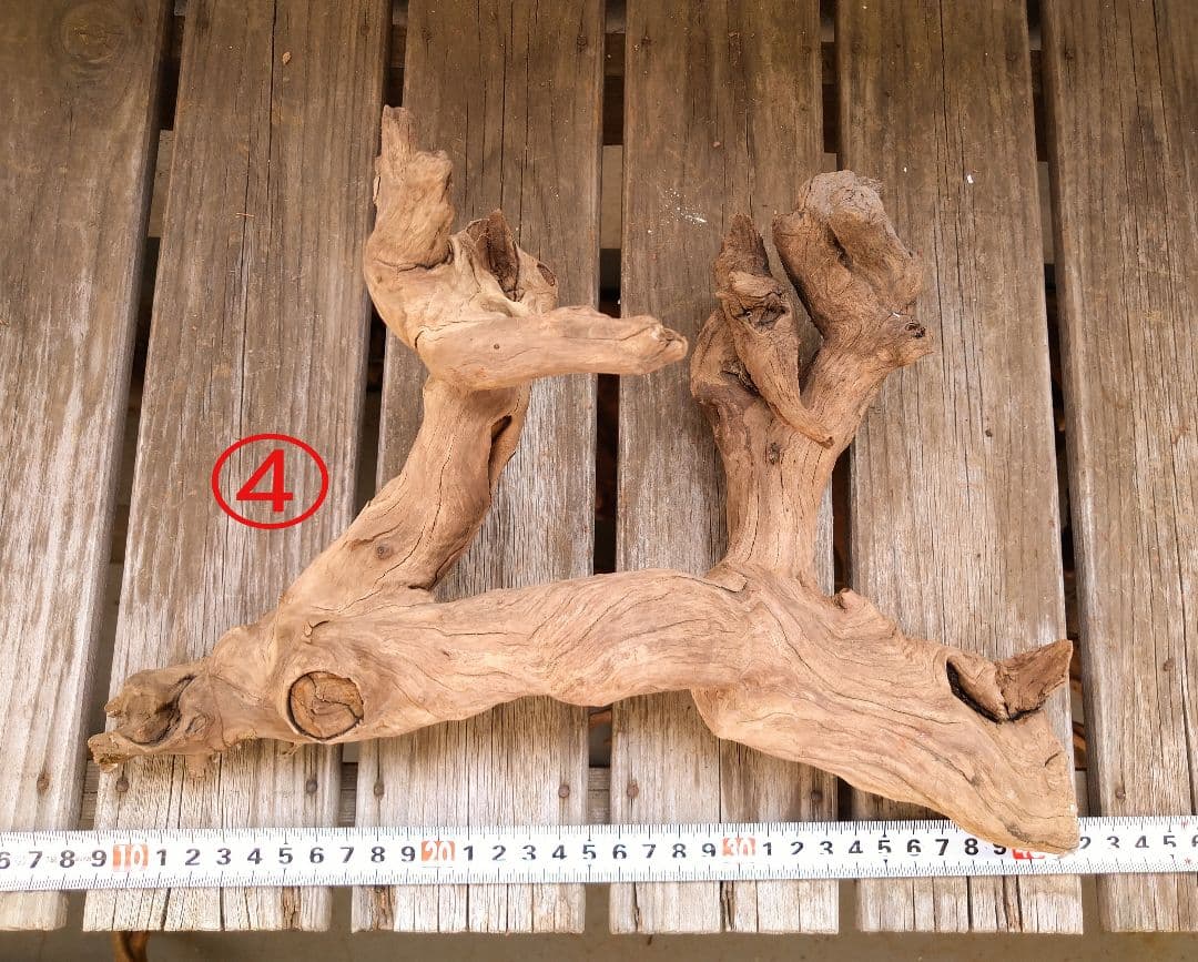 アクアリウム用品 レイアウト 良型 流木 M Lサイズ 7本セット 水槽