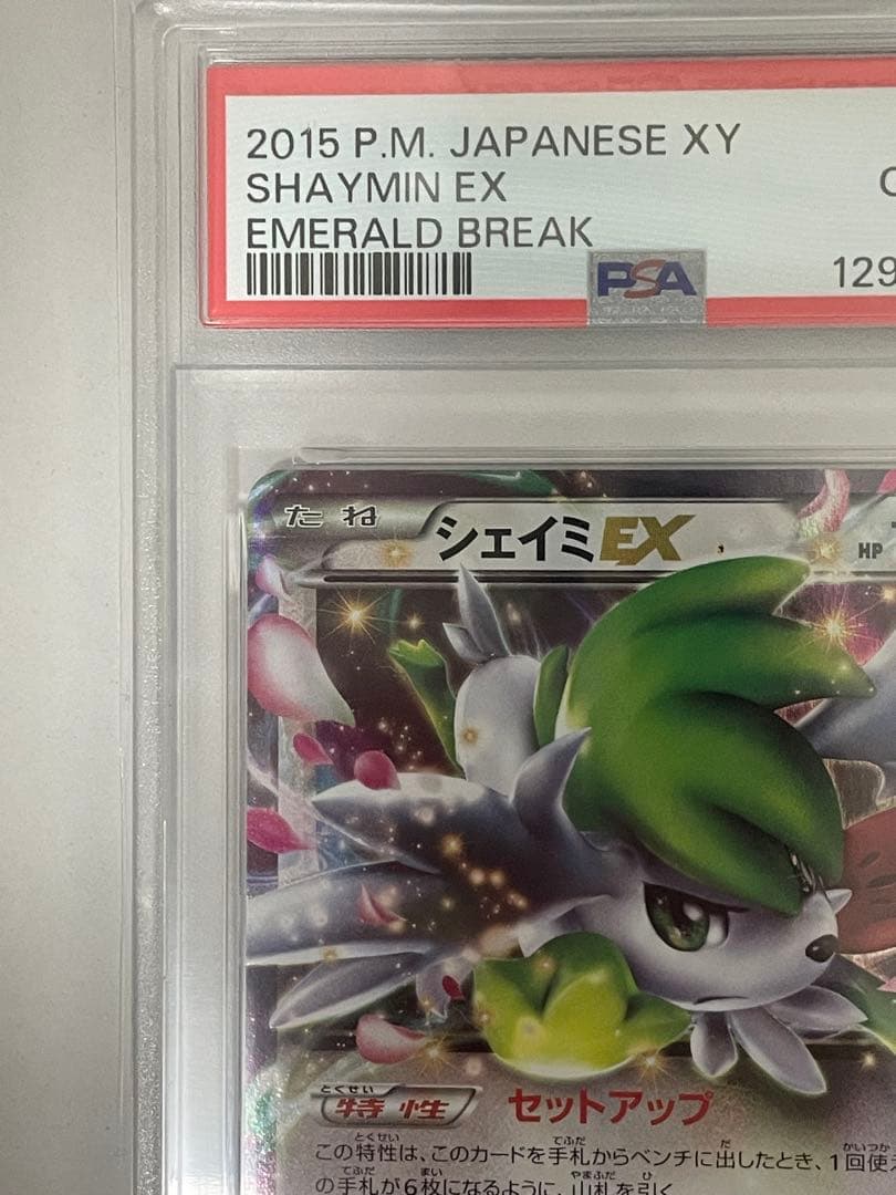 psa10 シェイミEX RR xy6 063/078 アンリミ