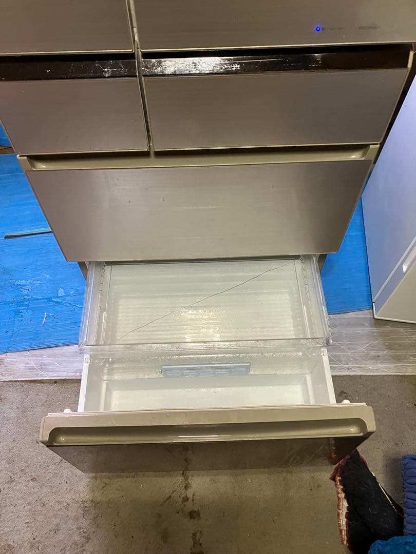 wisteria Near 11/16配達予定