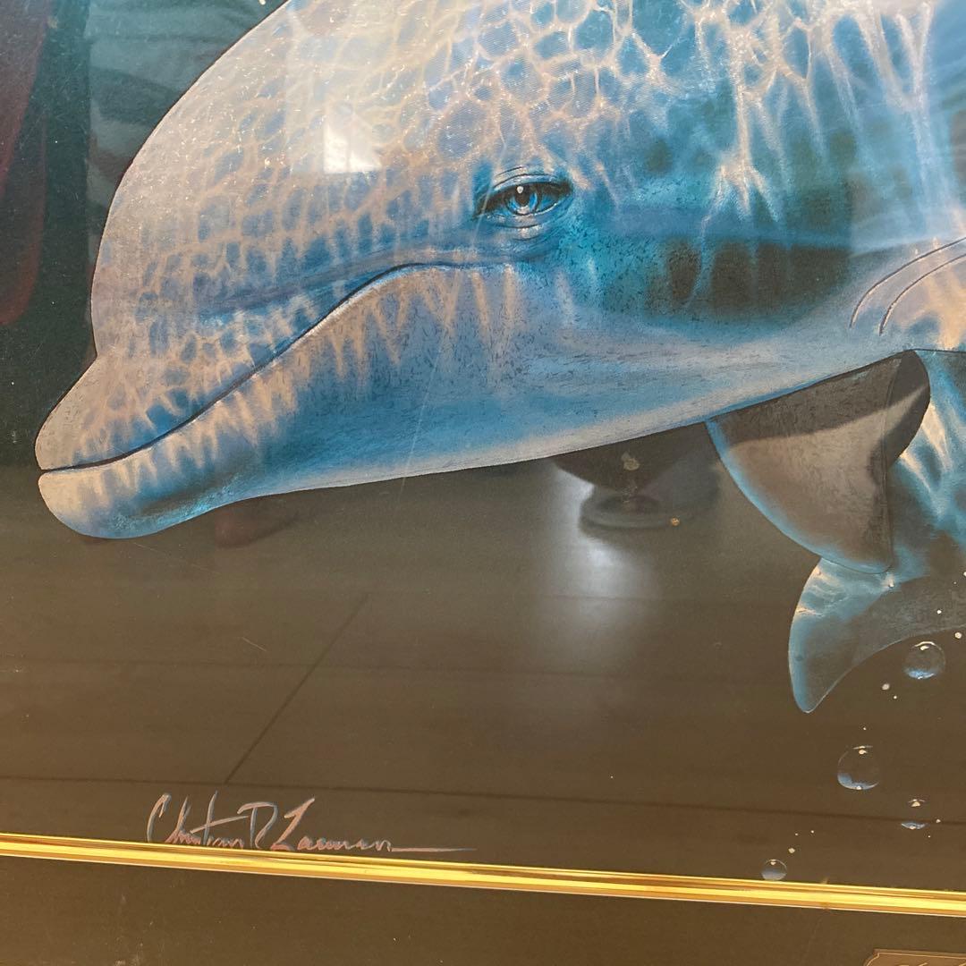 ラッセン　ポスター　イルカ　クリスチャンラッセン