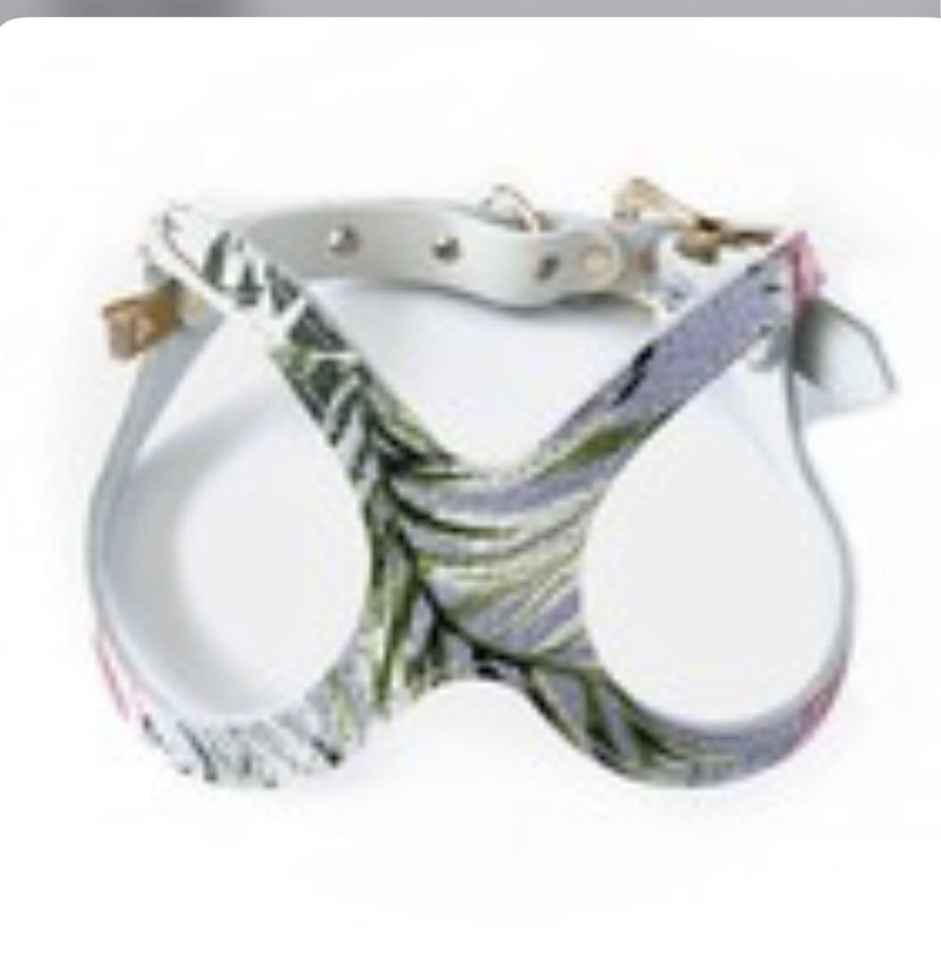 バディーベルト BBハーネス Bahama 本革 バハマ BUDDYBELT バディー