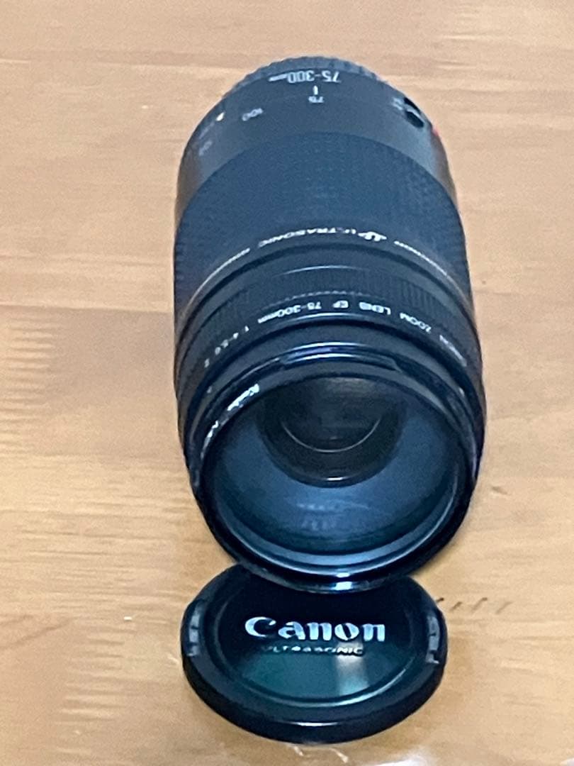Canon EF 75-300mm f/4-5.6 II USM ズームレンズ