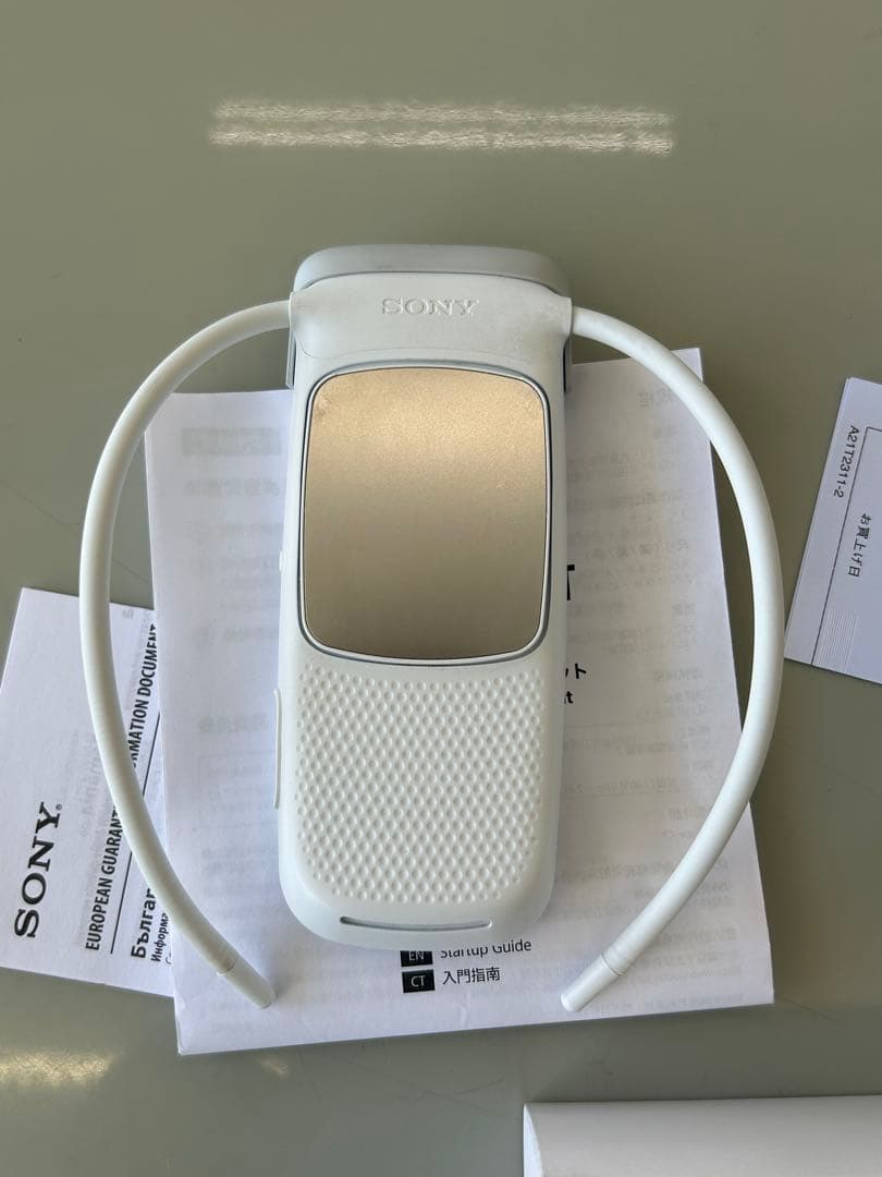 SONY REON POCKET 5 ソニー レオンポケット 5 中古品