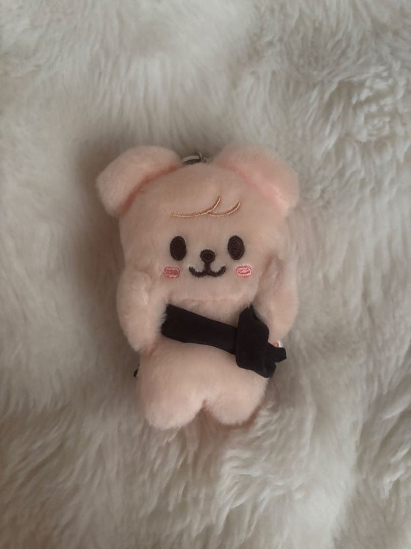 straykids skzoo パピーム スンミン マグネットキーリング - メルカリ