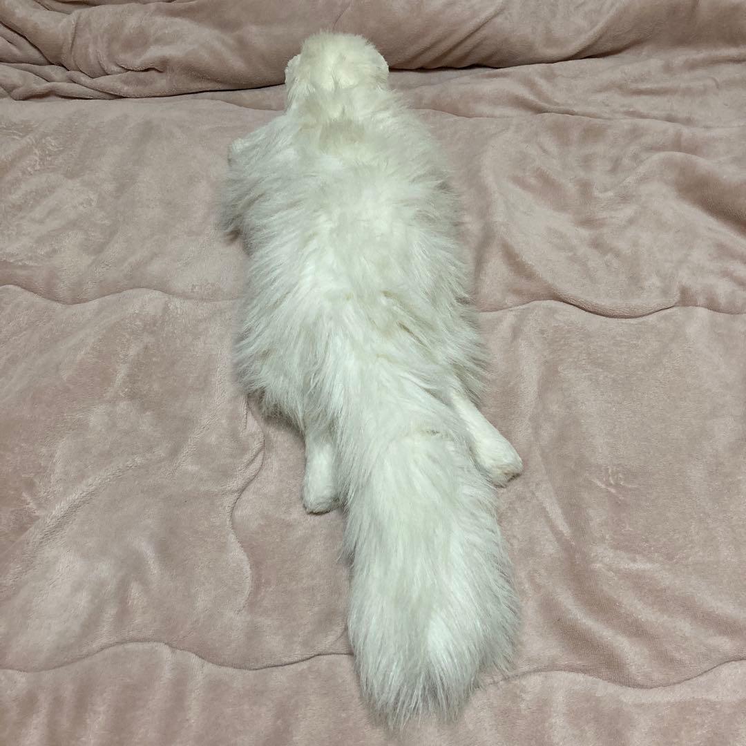 オオハラ　ペルシャ猫　ぬいぐるみ　中古品