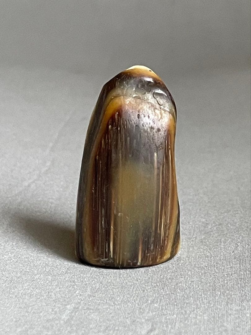 三線用 爪 ショップ 鯨髭＋鯨歯 Bタイプ 最終出品分 三線用 爪 鯨髭＋