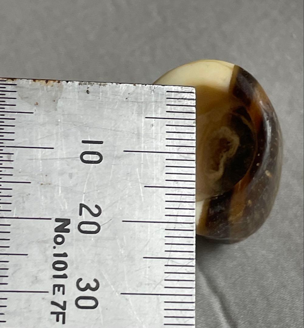 三線用 爪 ショップ 鯨髭＋鯨歯 Bタイプ 最終出品分 三線用 爪 鯨髭＋