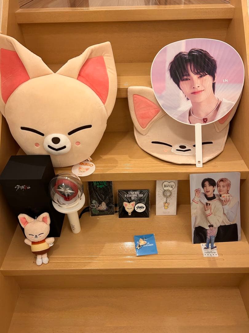 stray kids skzoo in アイエン フォクシニ まとめ売り セット