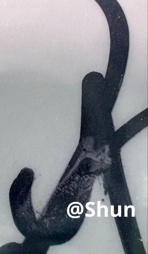 TWICE チェキ ミナ MINA BETTER タワーレコード 直筆 サイン