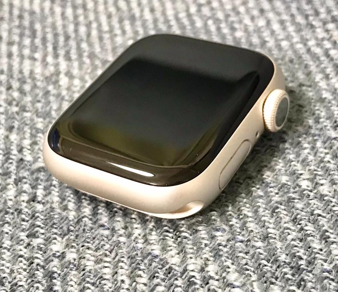 アクティオンゾウカブト(レックスゾウカブト) ペア標本