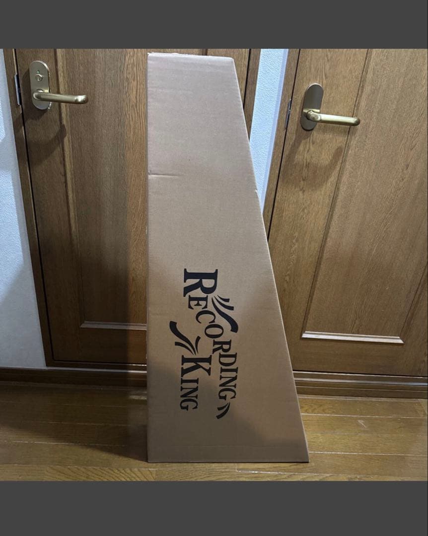 Recording King RO-G6スプルース単板トップ 弦高調整済み - メルカリ