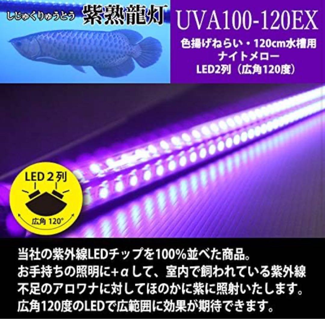 シ*ウ様 でんらい製 紫熟龍灯 （ナイトメロー/UV100A）アロワナ