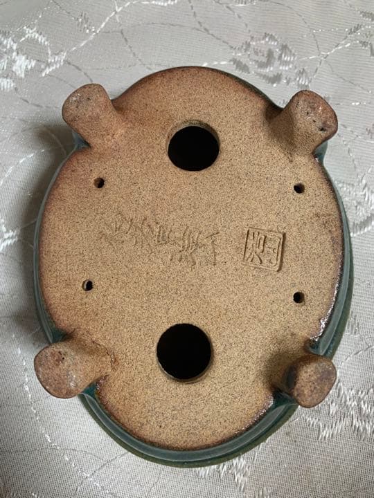 浩山 もっこ 盆栽鉢