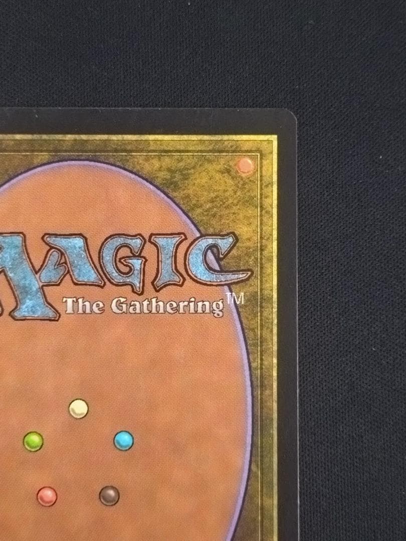 MTG　島/　Guru　グルランド　土地