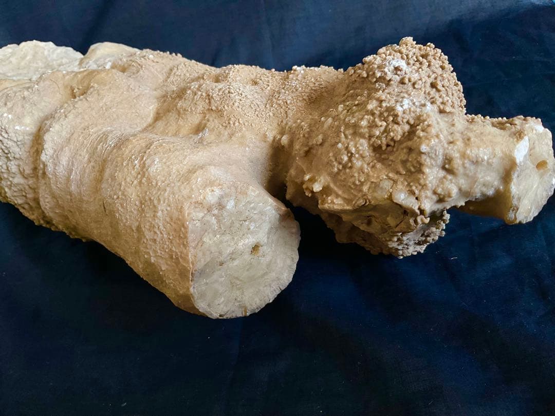 鍾乳石(石柱)65cm16.2kg