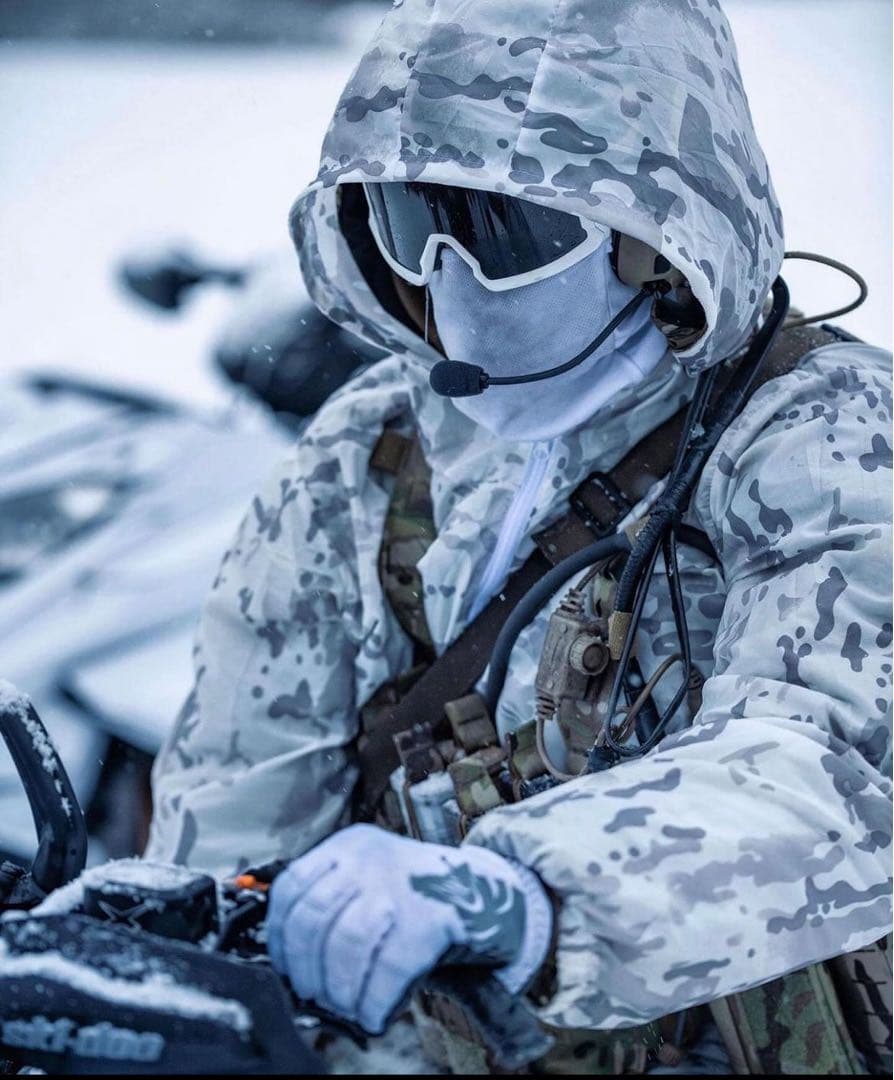 実物 PIG グローブ multicam alpine マルチカム アルパイン