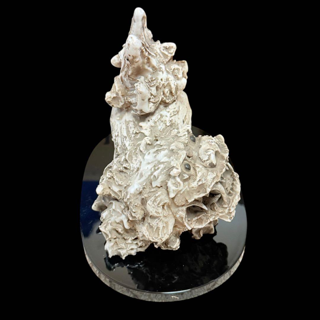 瀬戸焼 獅子 【レア】瀬戸焼 獅子陶器 大日窯 星合信令作 シーサー