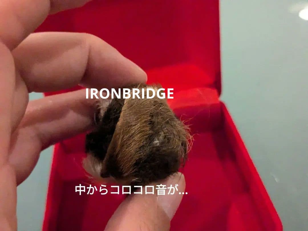 激レア！】タイのお守りプラクルアン！タイガーアイ？箱付き！幸運&金