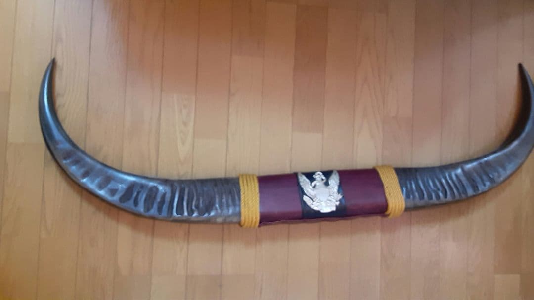 牛の角 約90センチ 龍 オブジェ 飾り インテリア 水牛 牛の角 約90