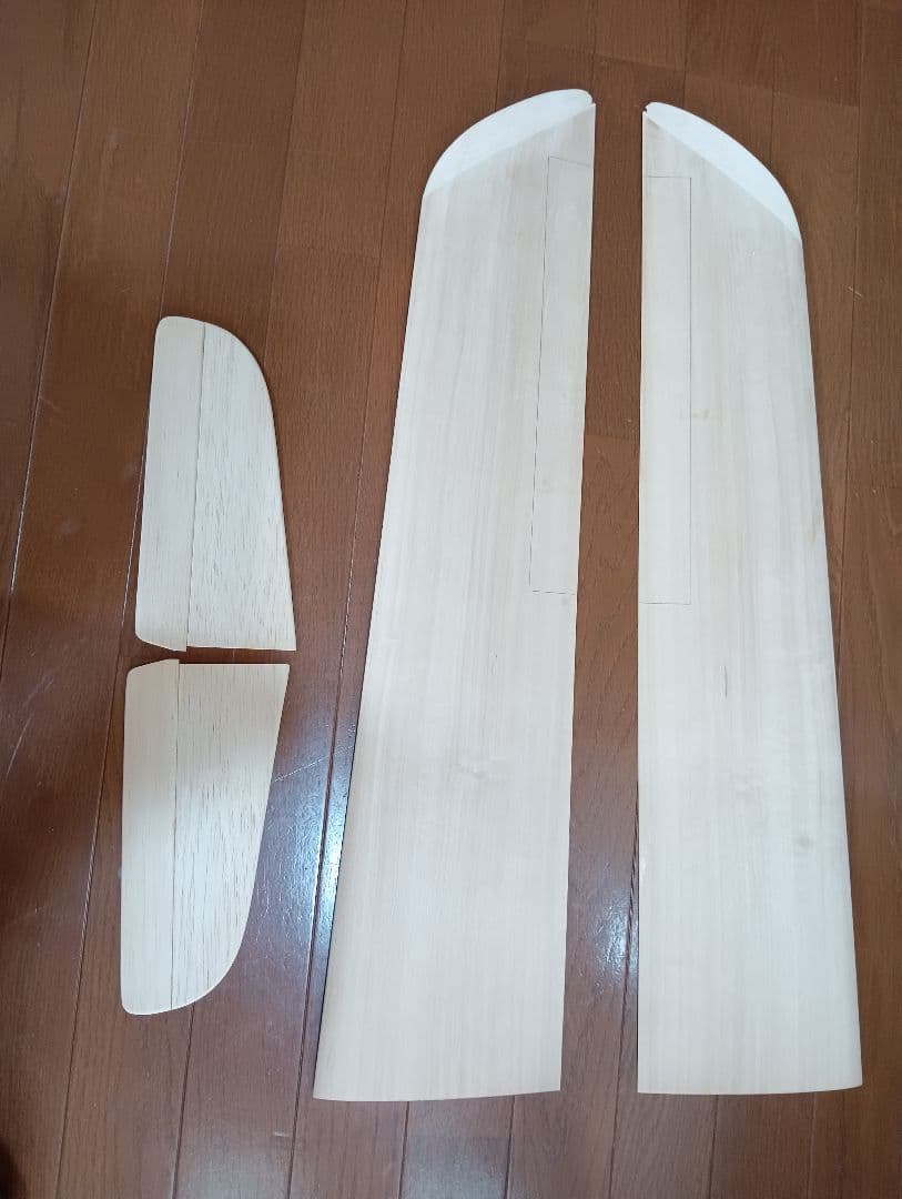 ラジコン飛行機（ポーランド製）ELSTER 競技用HLGグライダー