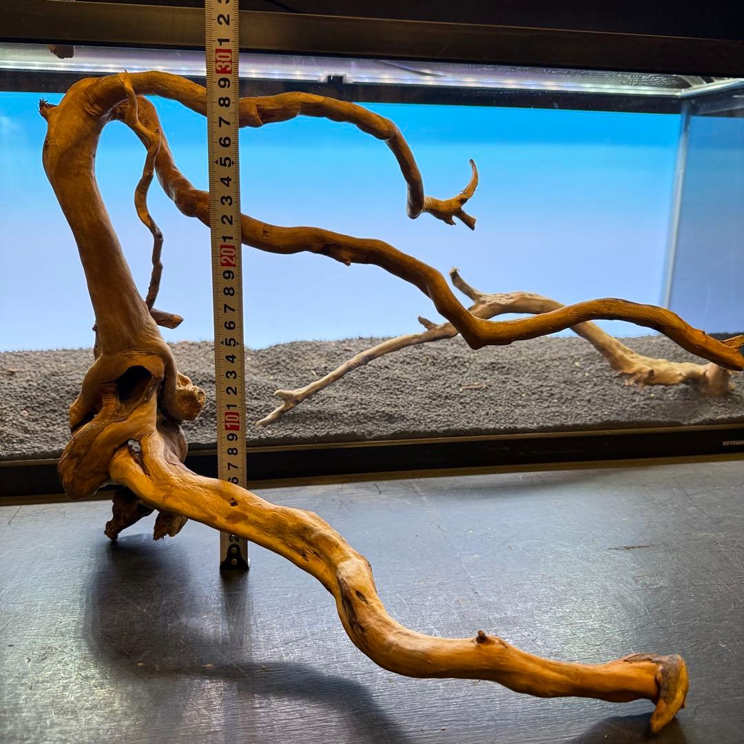 MDW-7223 ブランチウッドレイアウトセット 90cm水槽用流木 枝流木