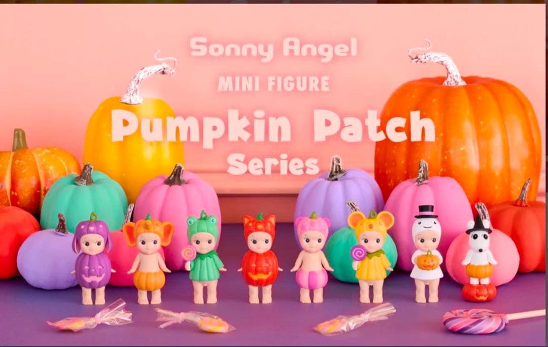 soony Angle パンプキンパッチ シリーズ アソートボックス