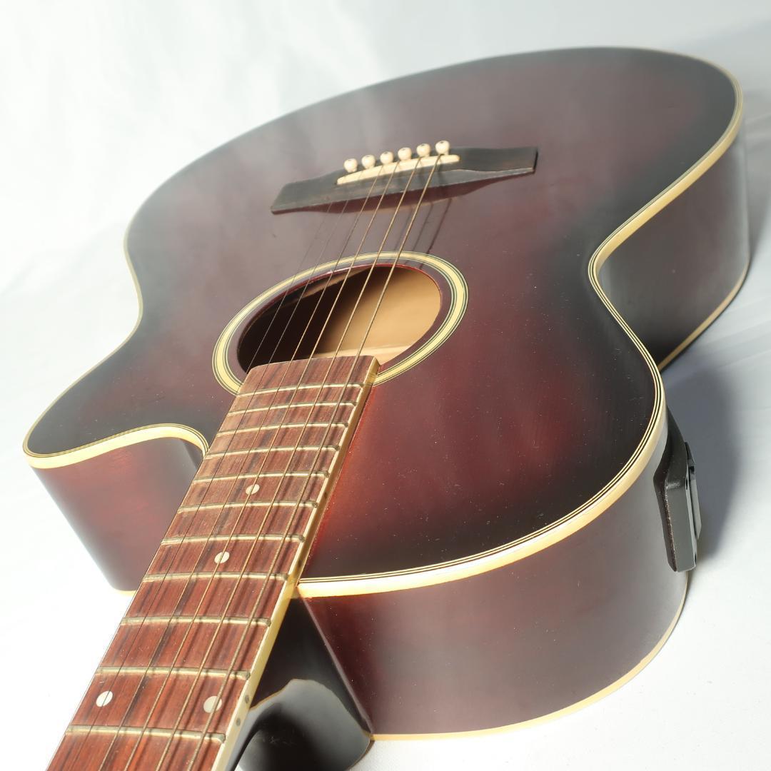 Pro Martin EAW-350 WRS エレアコ ギター ケース付 - メルカリ