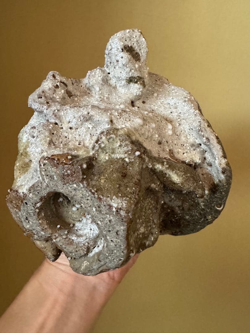 Simon Manoha 茶碗 フランス人作家