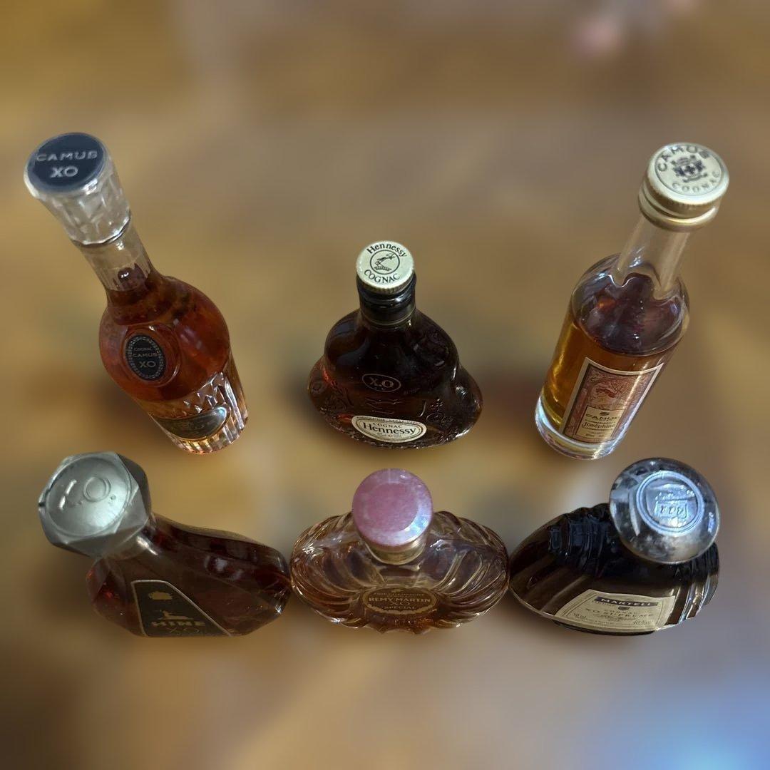 未開封 ミニボトル6本セット Hennessy XO CAMUS MARTELL