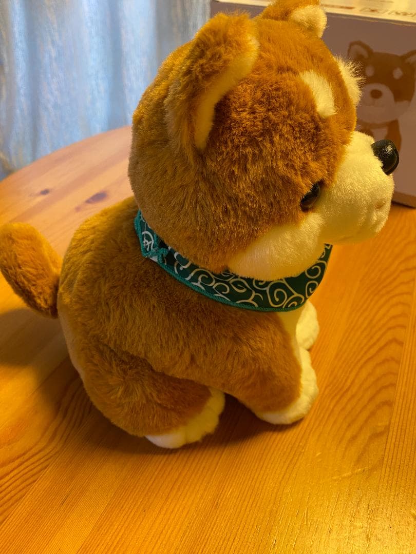 コウタ ぬいぐるみ バンダナ付き