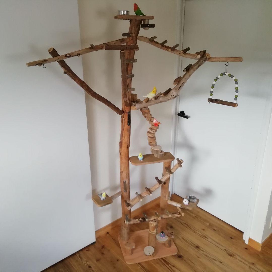 自然の木で遊ばせたい！大型インコのバードジムno504／ハッピーケース