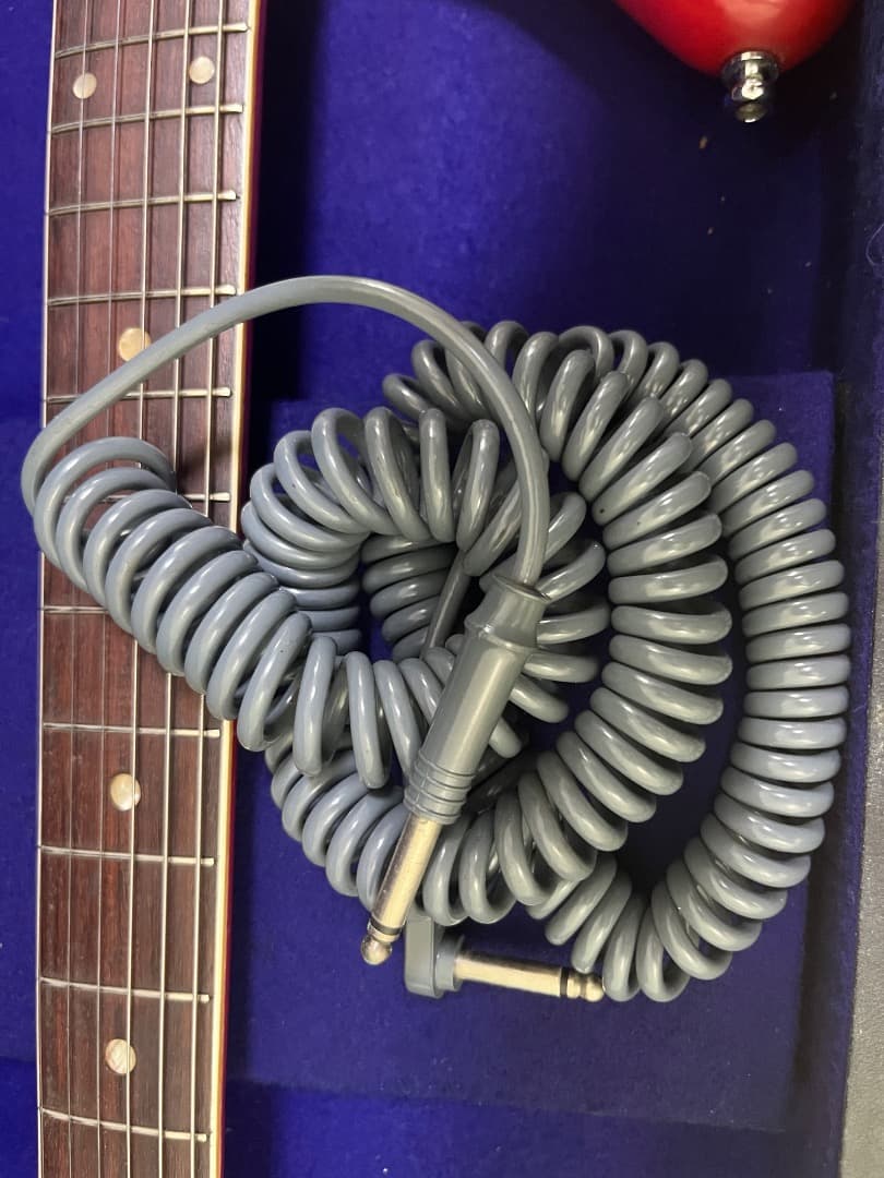 Pleasant SEL-220 ハードケース付 ビザール 新興楽器 - メルカリ