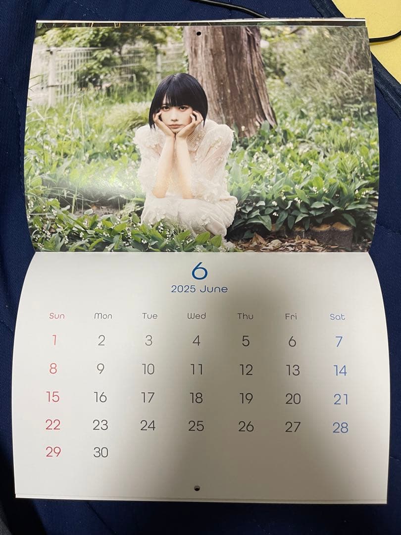 あのちゃんねる 公式 あの あのちゃん 2021 カレンダー 。