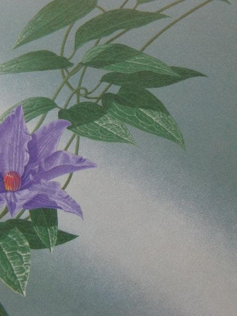 小山茂、【鉄線】、希少な額装用画集画、新品高級額 額装付、状態良好
