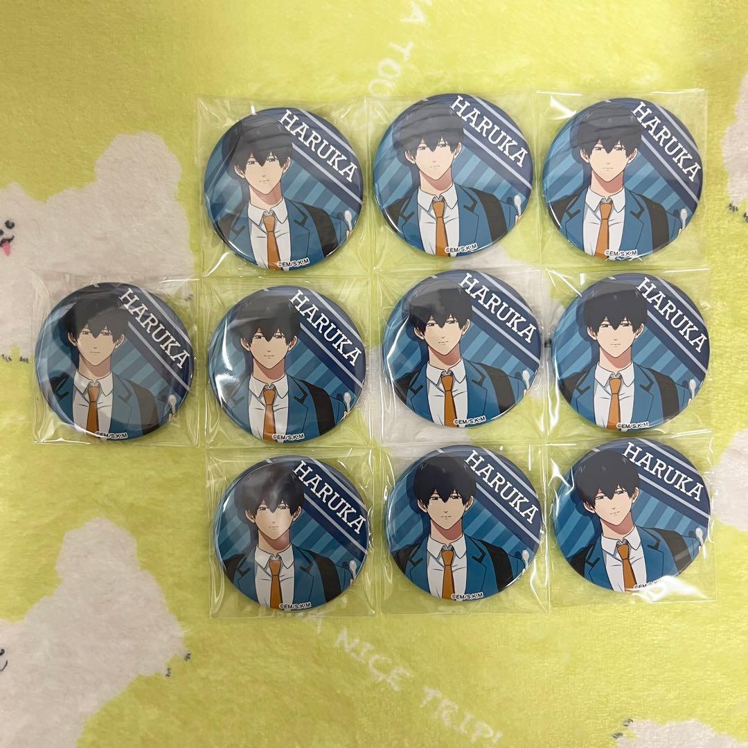 忘却バッテリー清峰葉流火 TSUTAYA ぬいぐるみといっしょ 缶バッジ 20