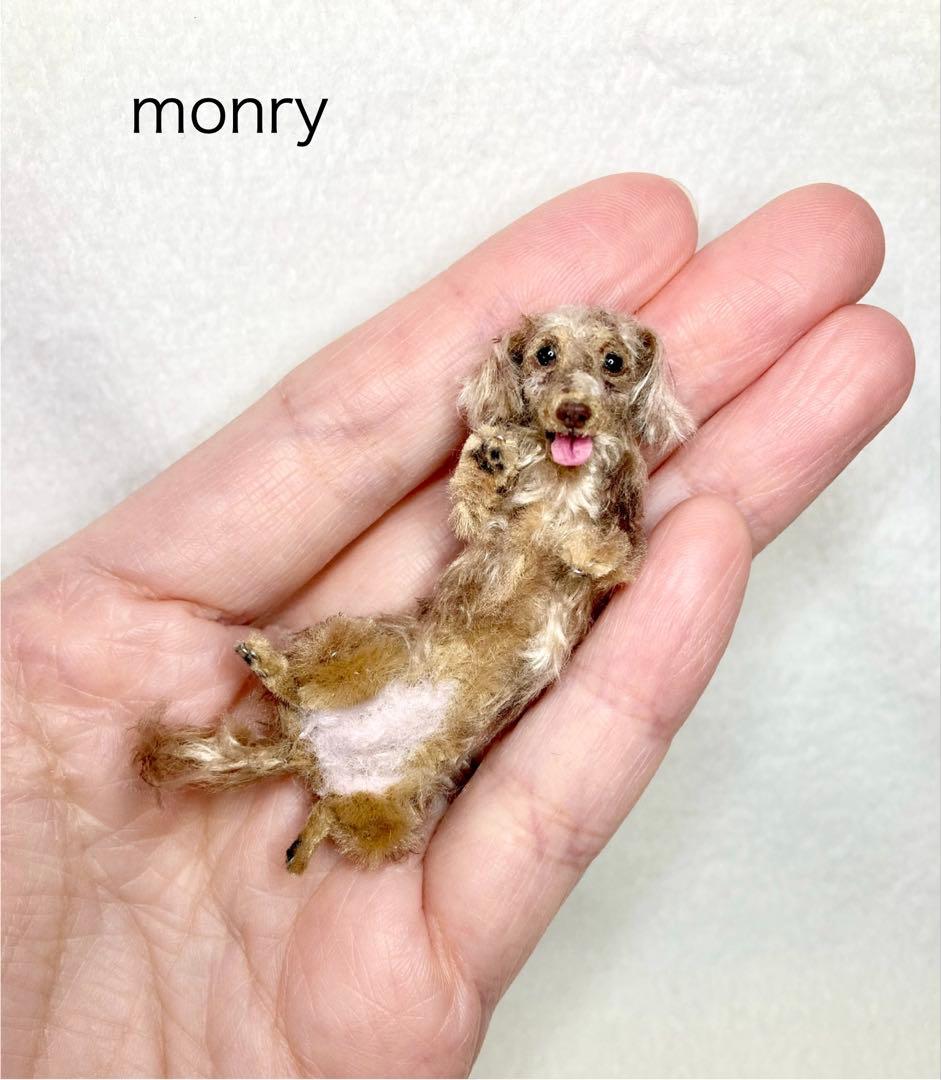 モールアート☆ミニダックスダップル☆へそてん