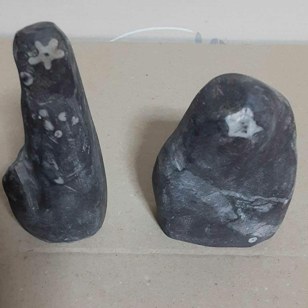 門司の梅花石 2個 (値下げしました！)