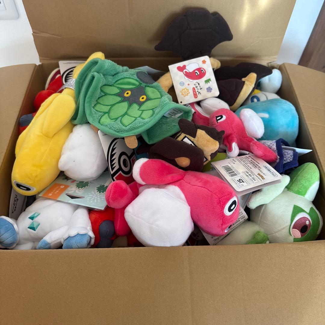 ピカピカボックス　まとめ売り