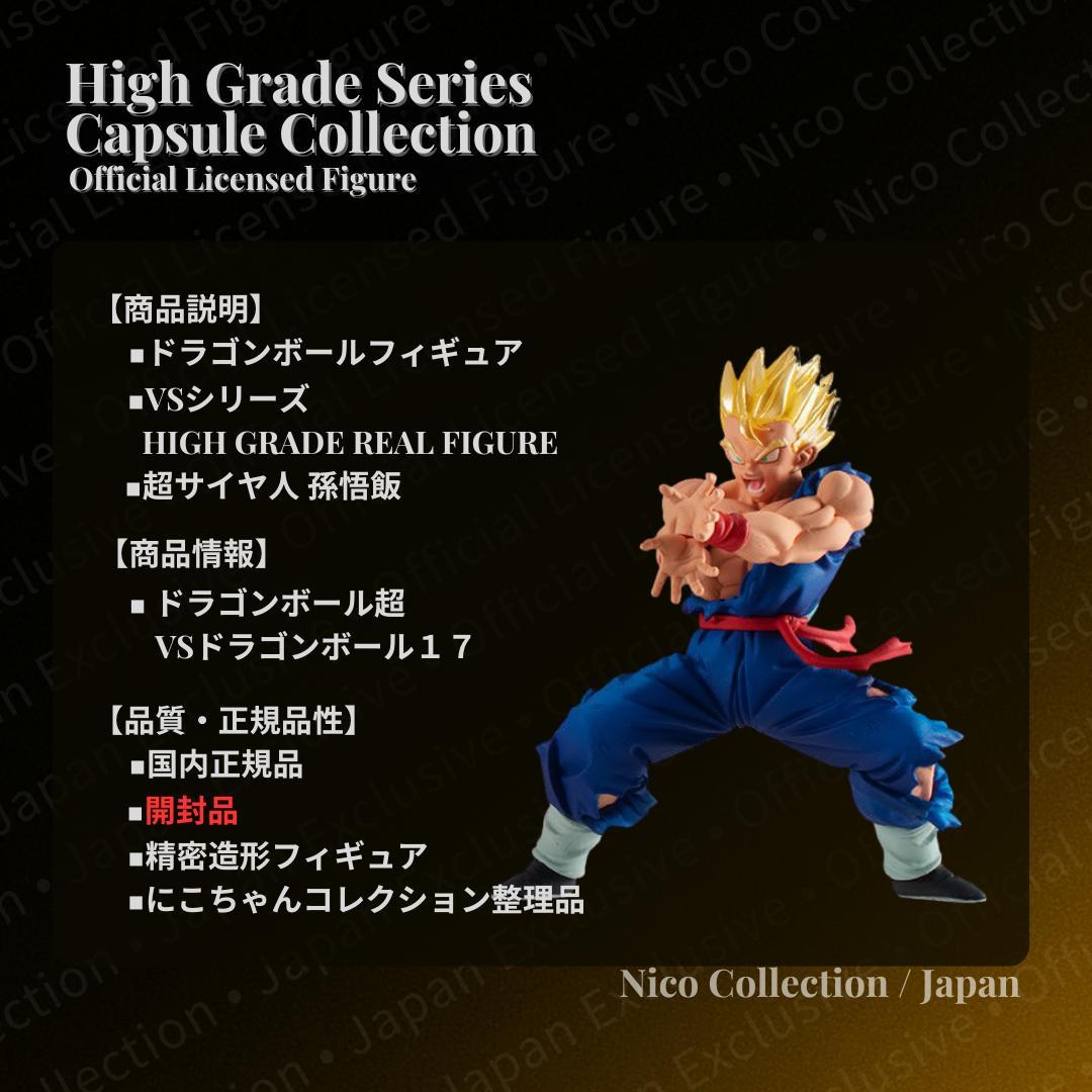 親子かめはめ波 ✓HG ドラゴンボール17 孫悟空 孫悟飯 孫悟天 ブロリー