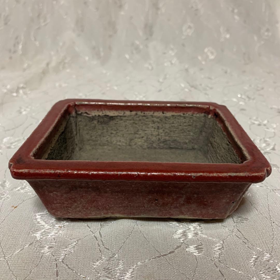 忠寛 盆栽鉢 長方 朱色