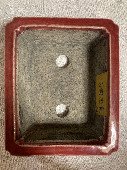 忠寛 盆栽鉢 長方 朱色