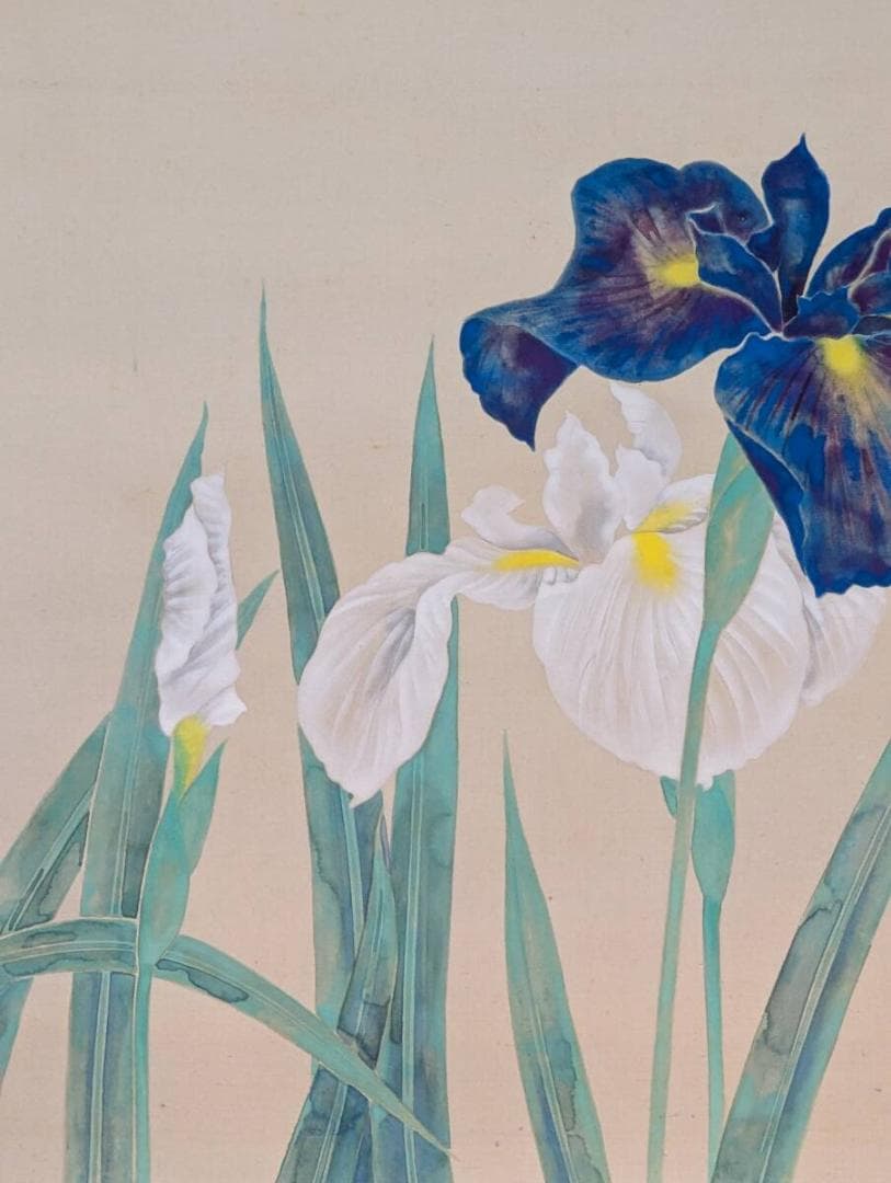 真作】掛軸 富取風堂 菖蒲 雅趣に満ちた彩色花鳥画 共