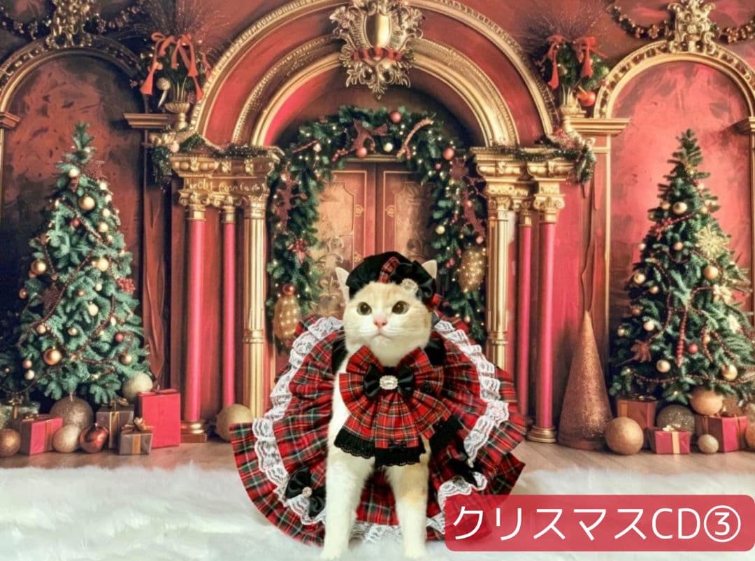 背景布 お正月H② ペット撮影用フォトブース トリミングチョーカー販売