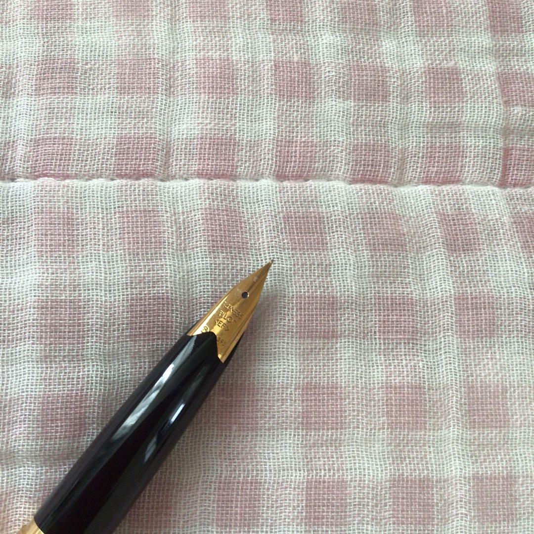 パイロット 14K 14金 万年筆 デスクペン 極細 EF 黒 廃盤 - メルカリ