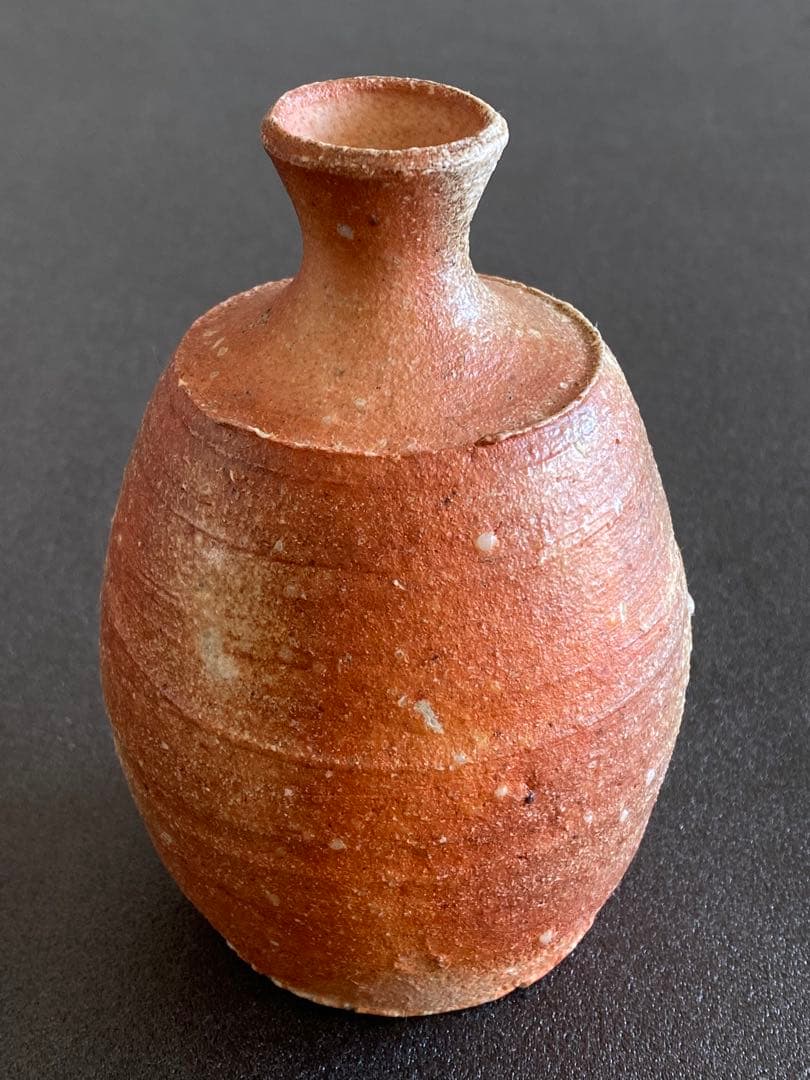 信楽焼 Shigaraki 徳利 Tokkuri 古谷道生 X01