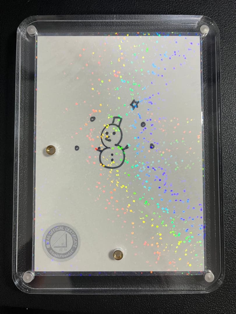 大園玲 2024 サンタ 直筆サイン入り生写真