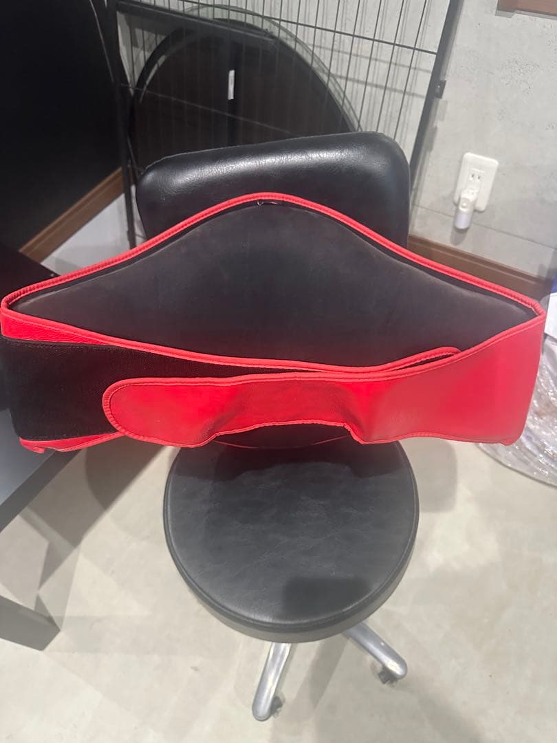 TWINS SPECIAL ボディミット Lサイズ 赤